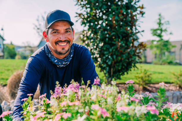 SuarezArroyo Landscaping professional at work with flowers